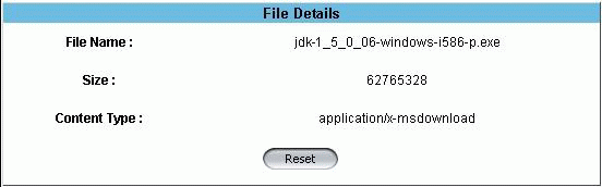 File Upload Summary